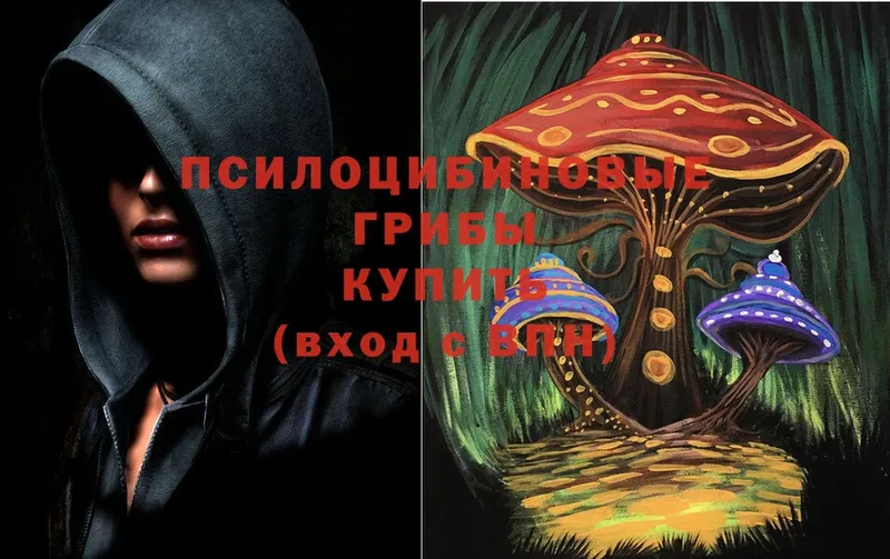 Псилоцибиновые грибы Cubensis  кракен онион  Ардон 